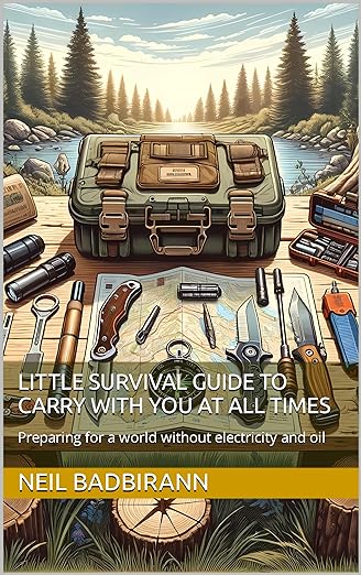 Cover of the book Little survival guide to carry with you at all times